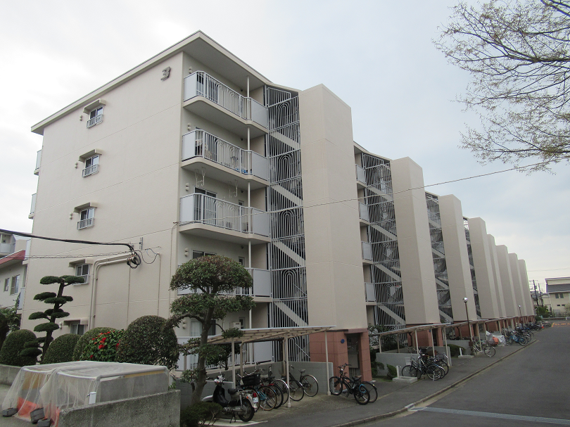 藤沢ニューライフ